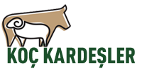 Koç Kardeşler Samsun Adak Kurban Akika Kesimi Besi Çiftliği